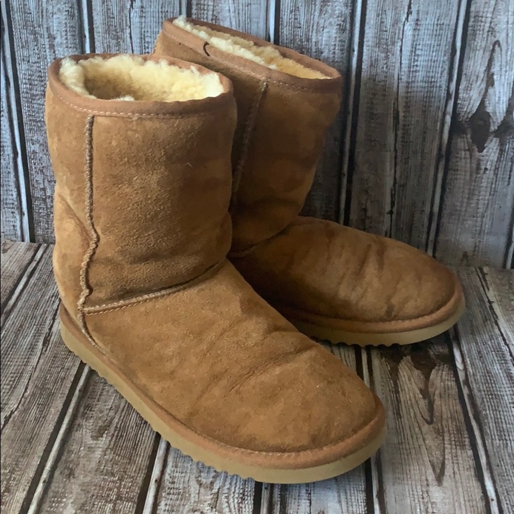 Original Ugg Boots - Classic Short - Chestnut